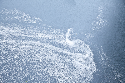 c0095644_13042464.jpg