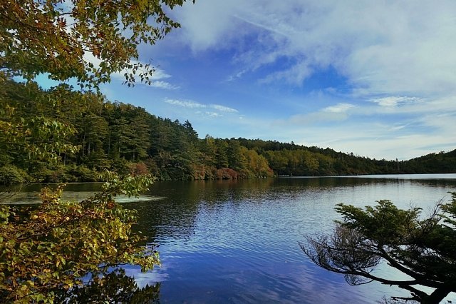 b0122448_12232064.jpg