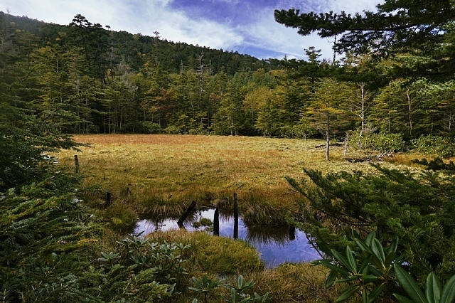 b0122448_12305826.jpg
