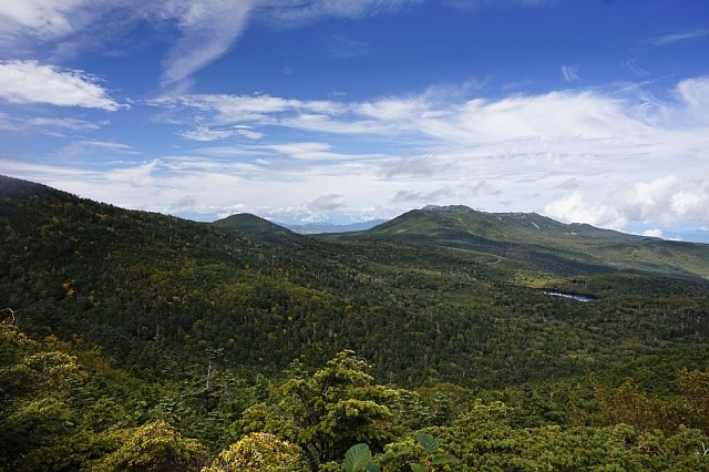 b0122448_12343530.jpg