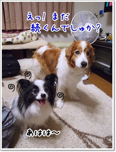 d0013149_01494420.jpg