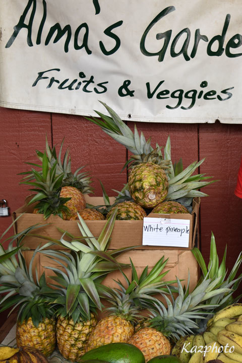 f0247849_23045452.jpg