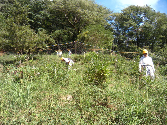 f0342250_23012955.jpg