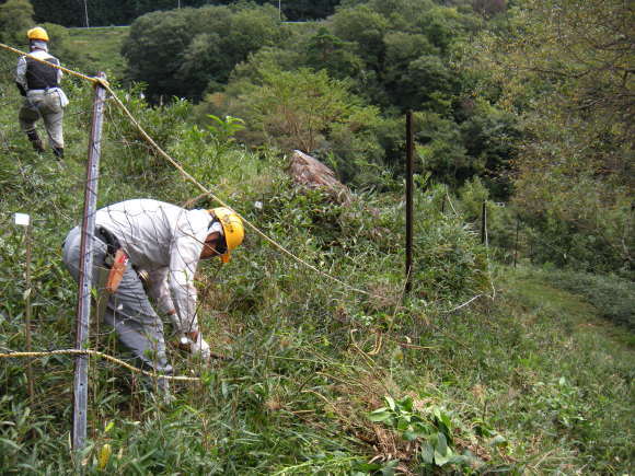 f0342250_23130095.jpg