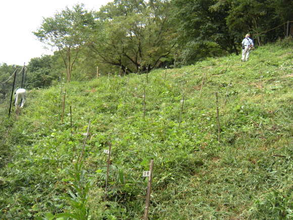 f0342250_23455779.jpg