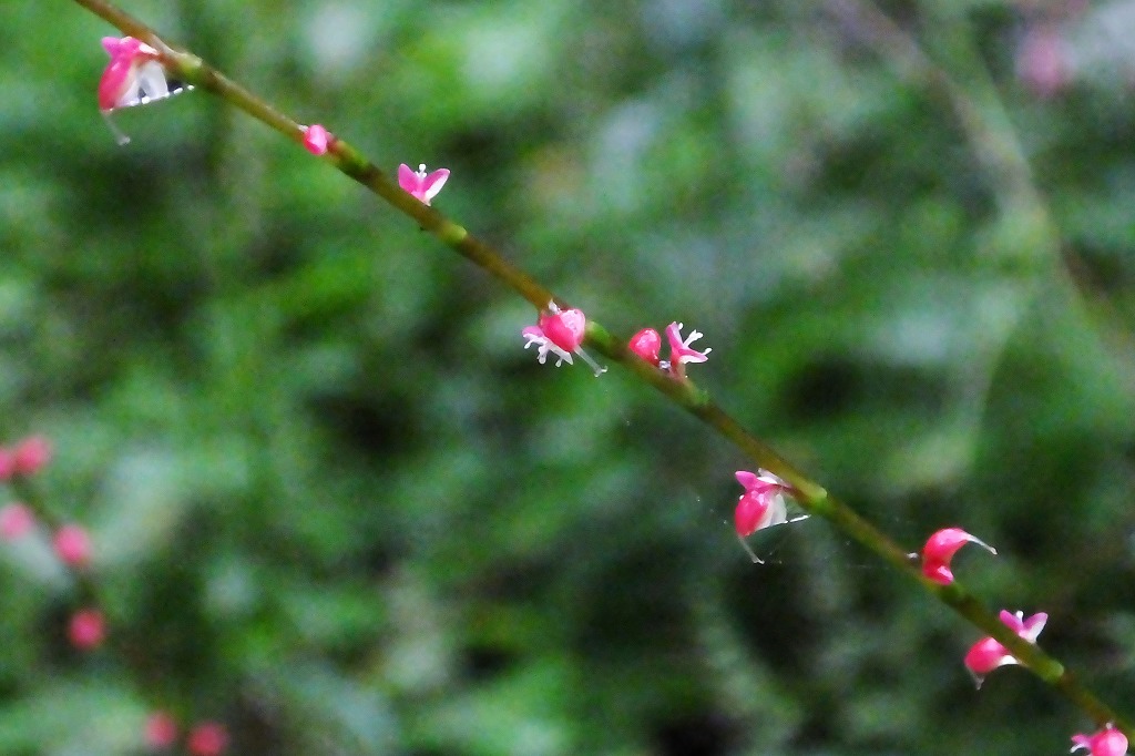 b0236251_10434468.jpg