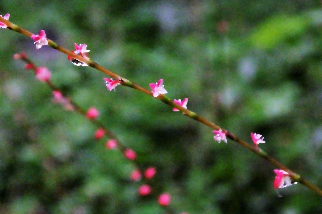 b0236251_10435116.jpg