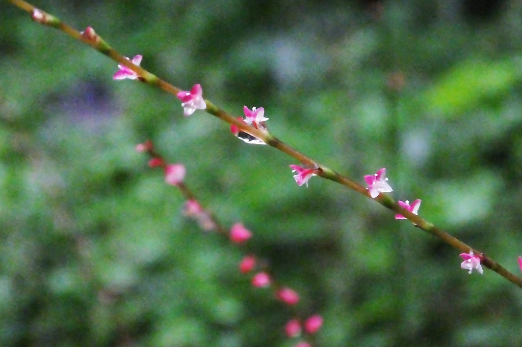 b0236251_1044360.jpg