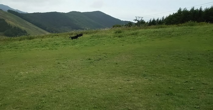 f0071053_1338197.jpg