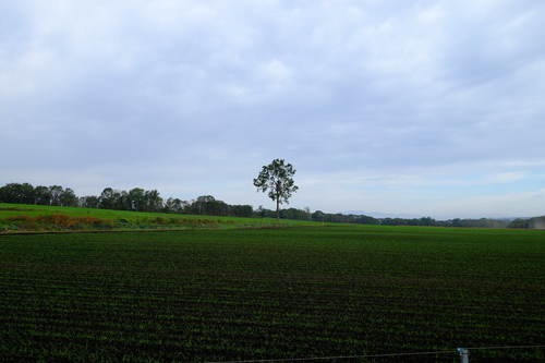a0215155_22143644.jpg