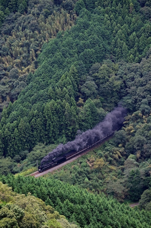 d0336159_20324968.jpg