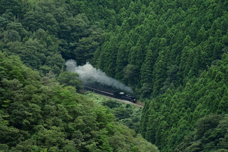 d0336159_20324978.jpg