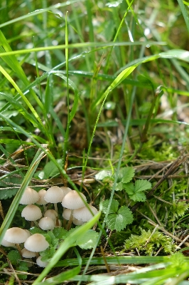 f0035962_10234216.jpg