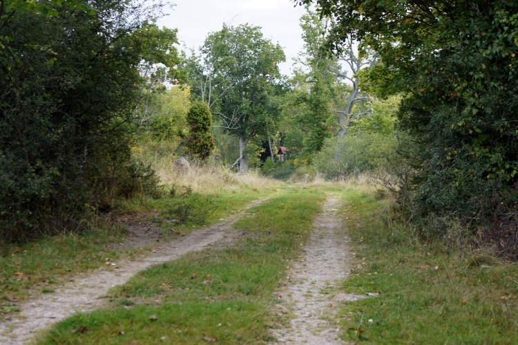 a0346870_12320042.jpg