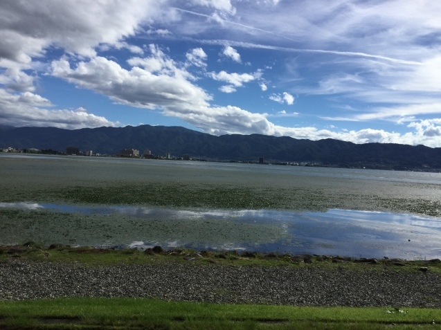 f0359673_17515410.jpeg