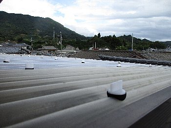 f0003283_16235735.jpg