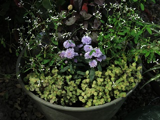 e0130185_19481830.jpg