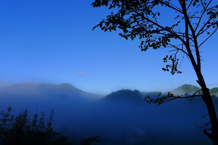 a0130586_8273017.jpg
