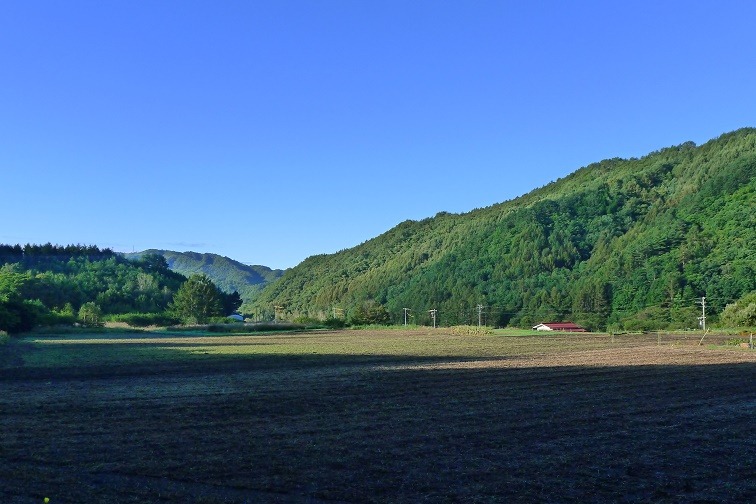 a0130586_841041.jpg