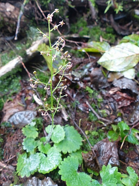 f0357487_23471824.jpg