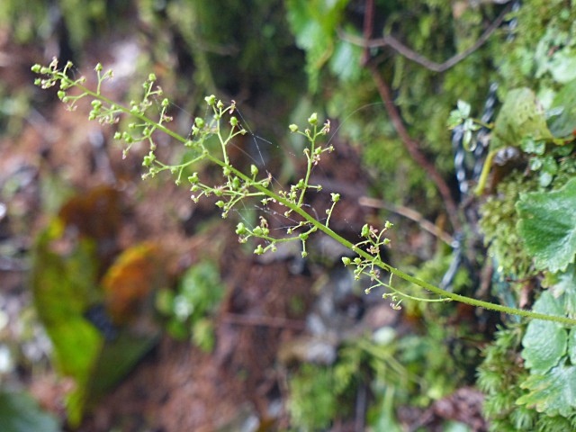 f0357487_23482350.jpg