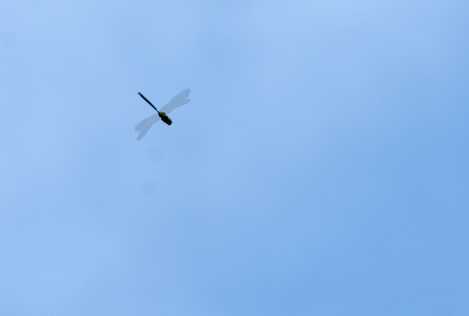 e0353790_15015266.jpg