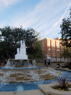 f0121591_10222234.jpg