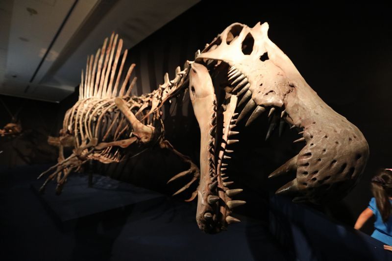 b0190092_21083908.jpg