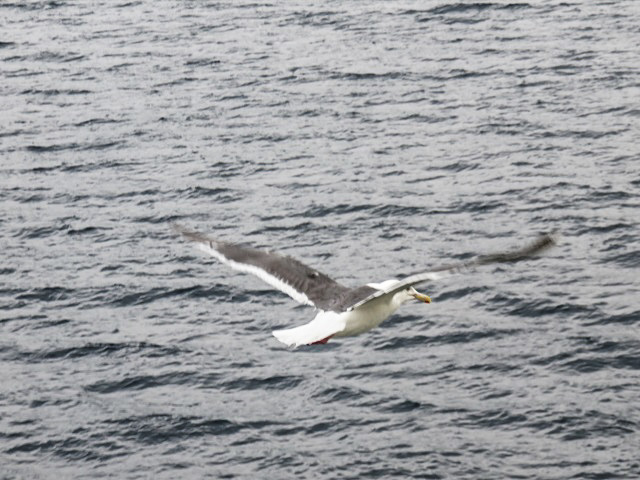 f0346196_12284101.jpg