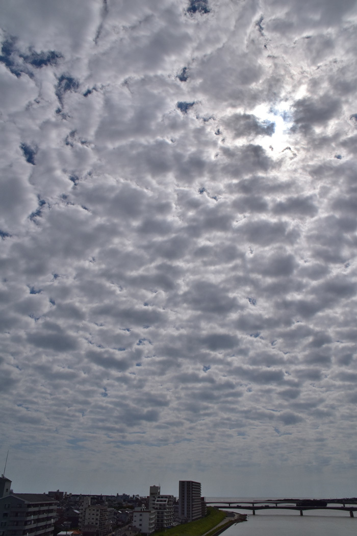 c0049299_22262751.jpg
