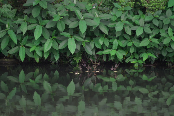 f0233999_20235667.jpg