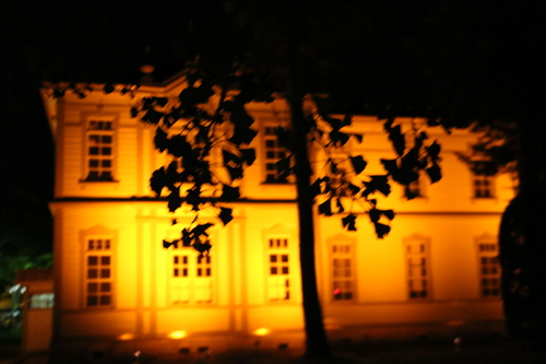 c0075701_8451920.jpg