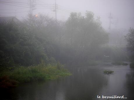 c0098807_2134446.jpg