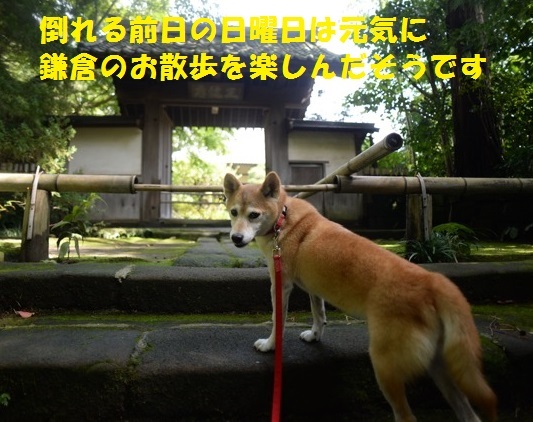 f0121712_07442875.jpeg