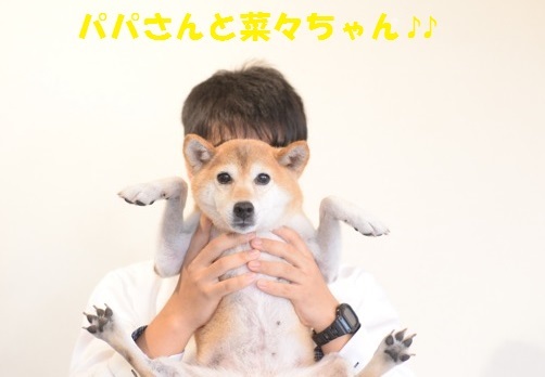 f0121712_07505993.jpeg