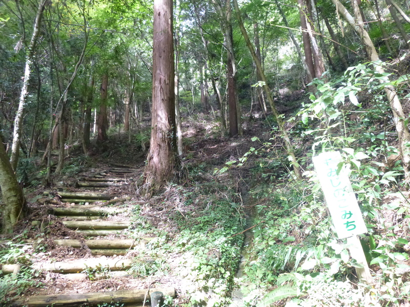 d0170615_14104150.jpg