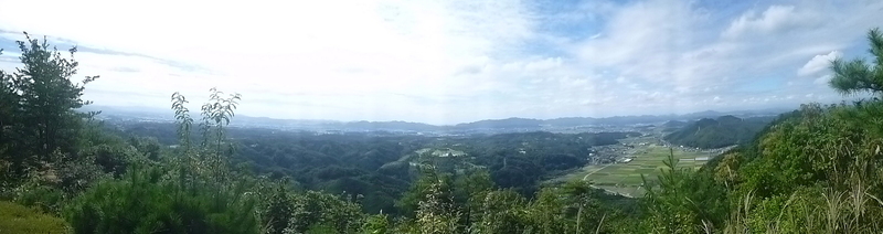 d0170615_1414146.jpg
