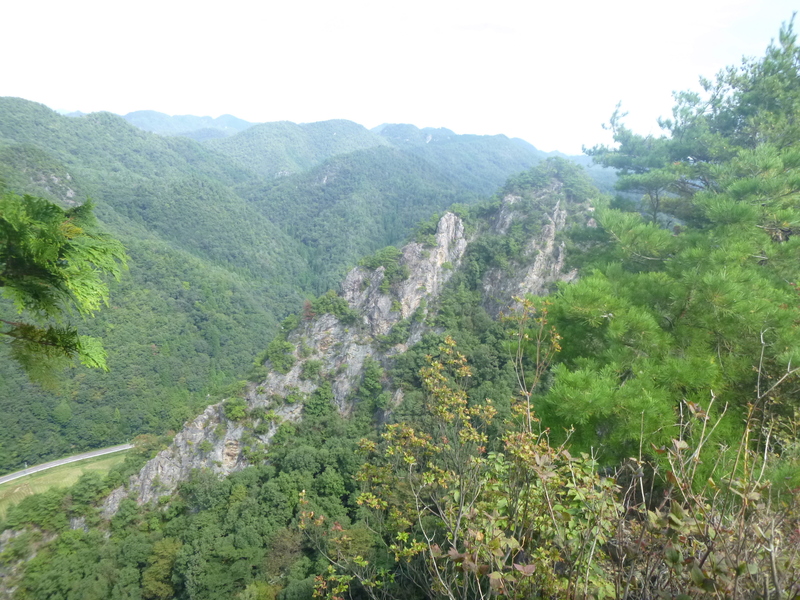d0170615_14142175.jpg