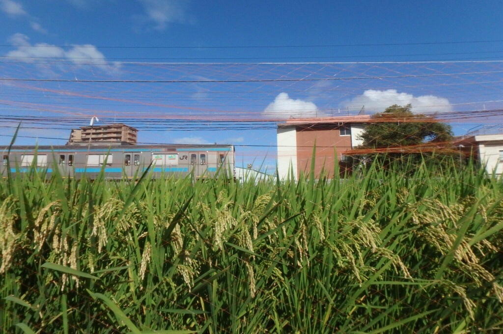 e0077517_08072131.jpeg