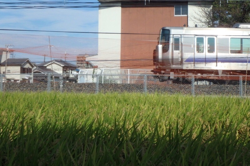 e0077517_08160388.jpeg