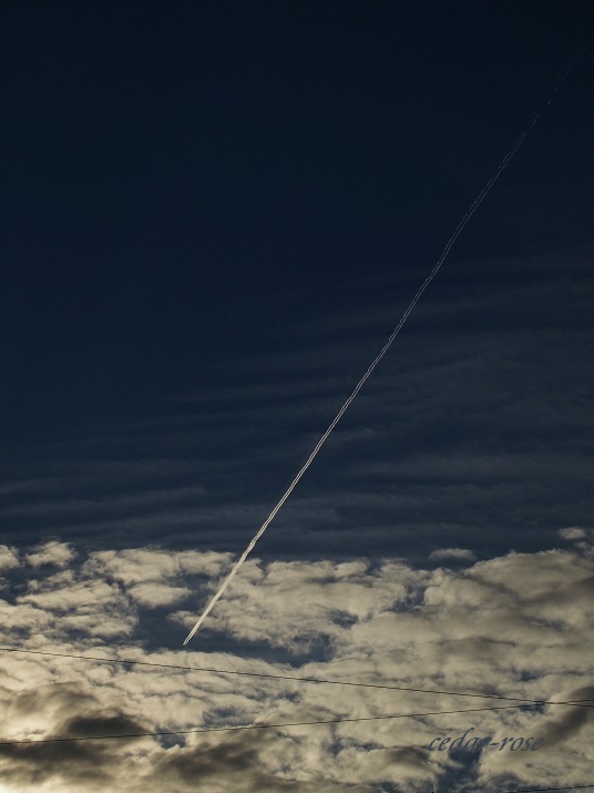 e0339317_11110107.jpg