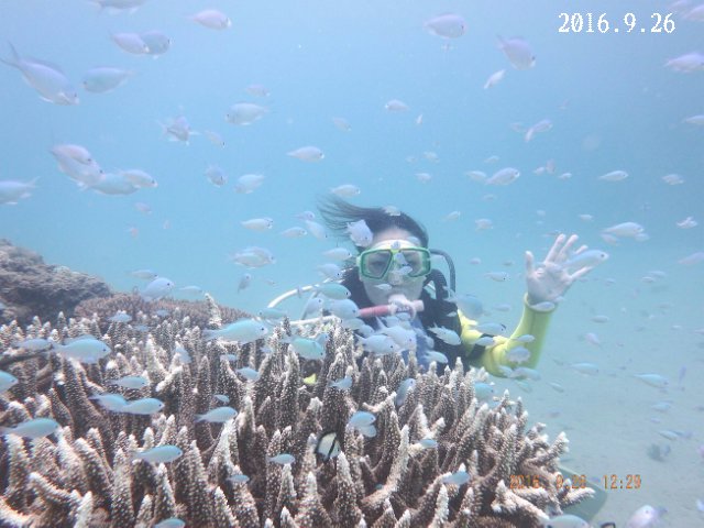d0342920_18201660.jpg