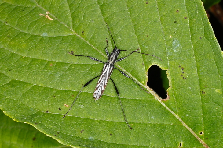 e0337826_09221059.jpg