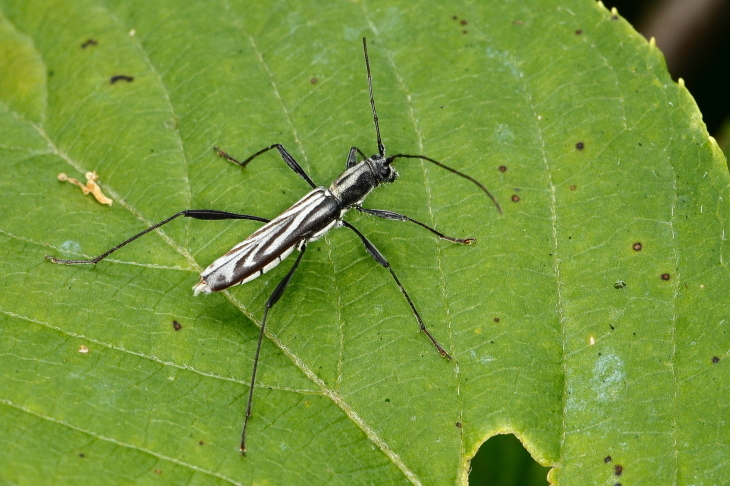 e0337826_09231358.jpg