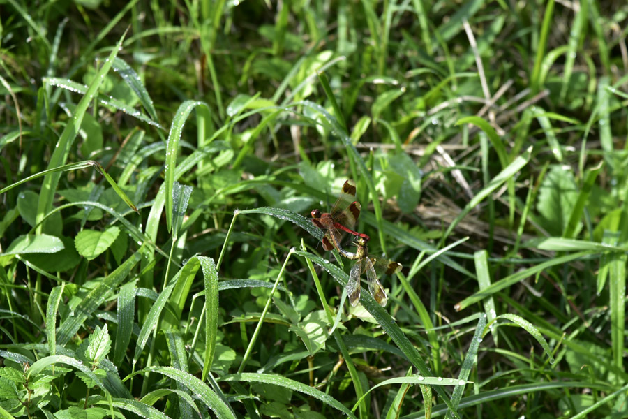 b0042837_2201316.jpg