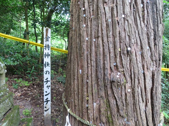 f0202151_2074177.jpg