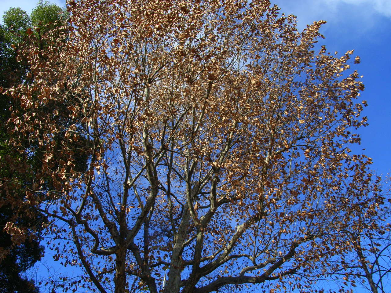 f0257756_01553403.jpg