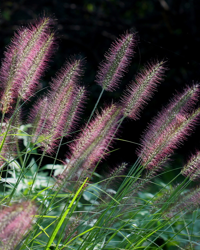 c0305565_18051347.jpg