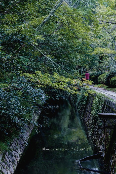 f0251765_11142430.jpg