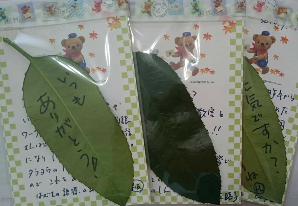 b0124466_09021061.jpg